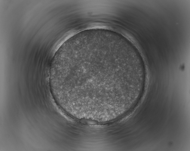 X0000114691377200912021035