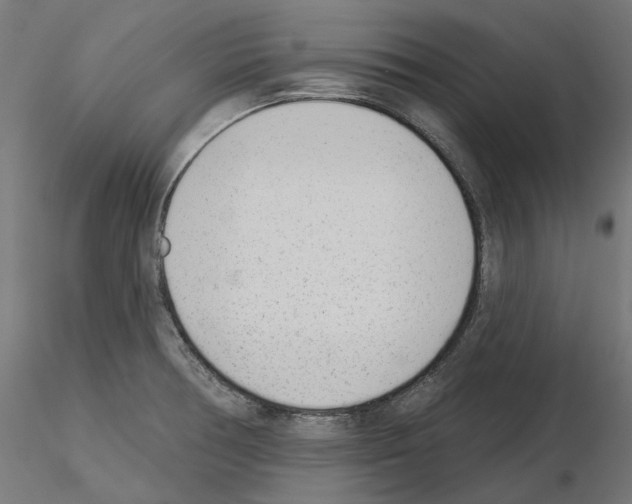 X0000114691378200912021035