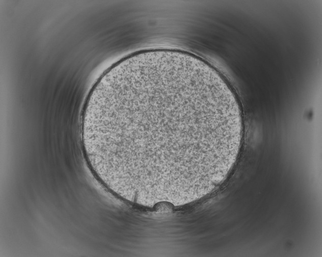 X0000114691380200912021035