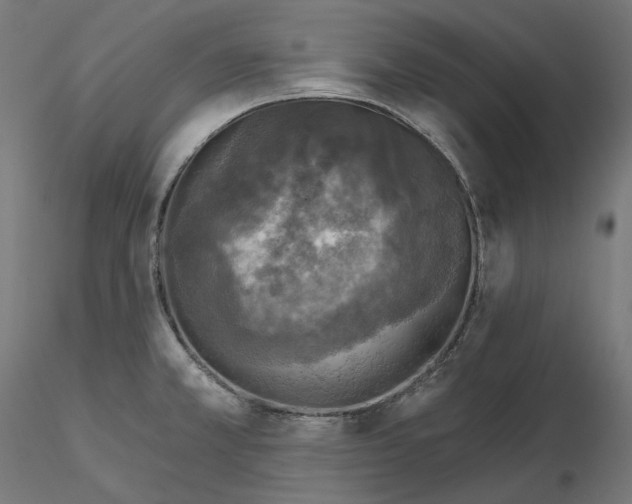 X0000114691381200912021035