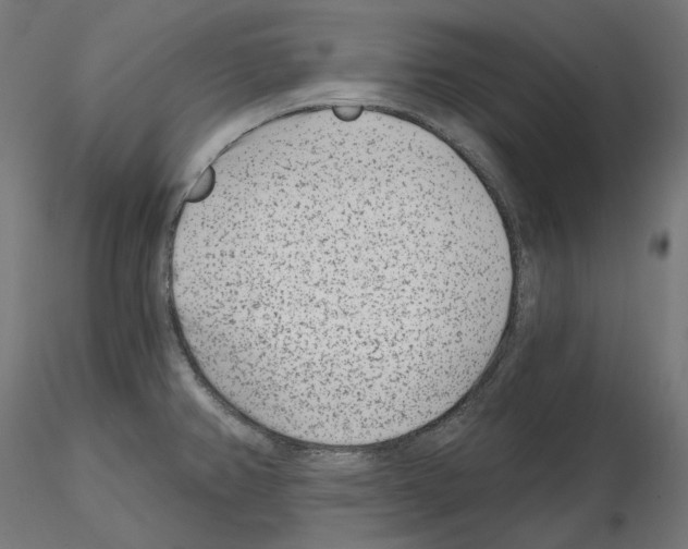 X0000114691382200912021035