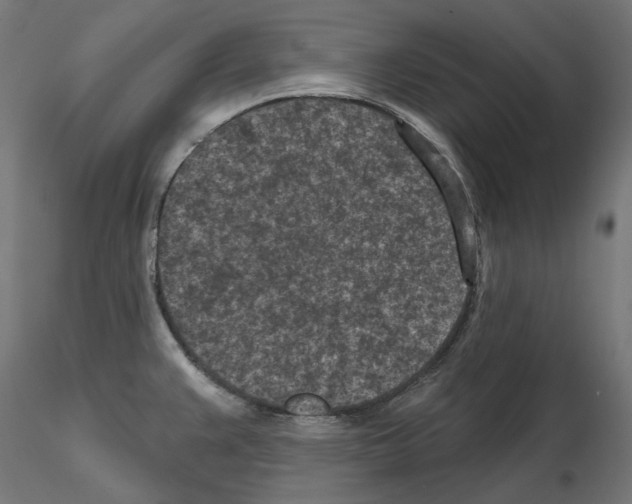X0000114691383200912021035