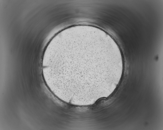 X0000114691384200912021035