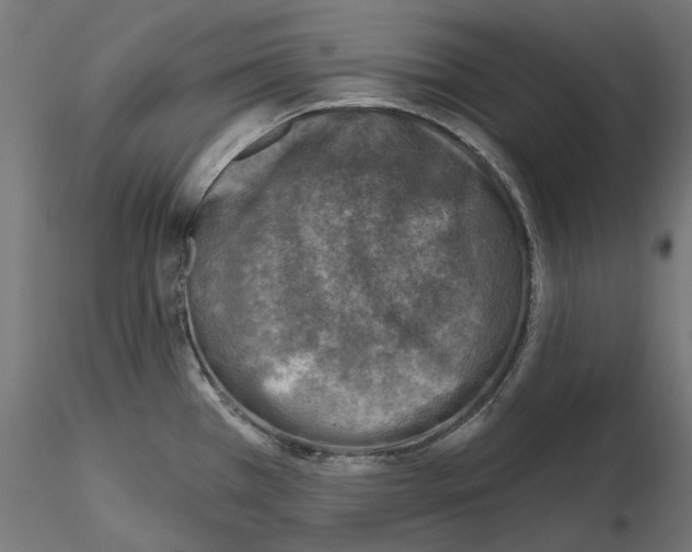 X0000114691385200912021035