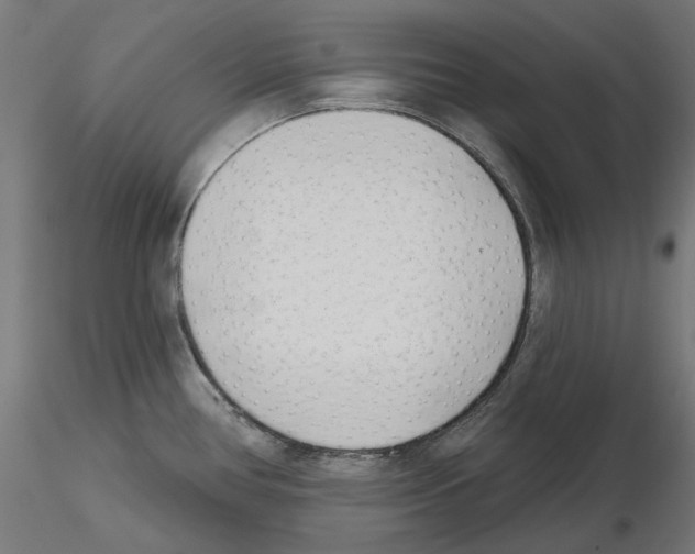 X0000114691386200912021035