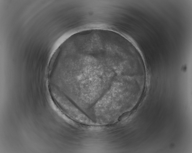 X0000114691389200912021035