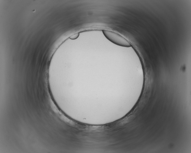 X0000114691390200912021035