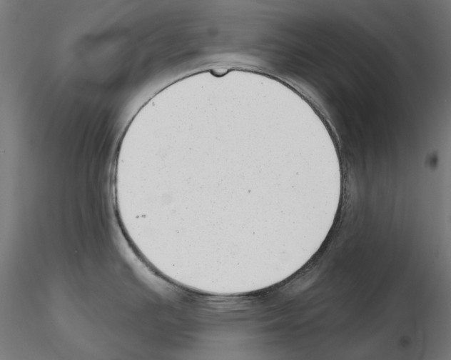 X0000114691391200912021035