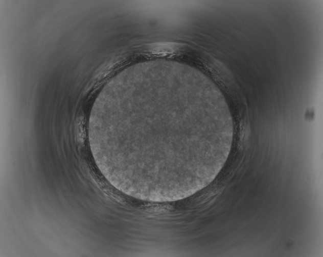 X0000114691394200912021034