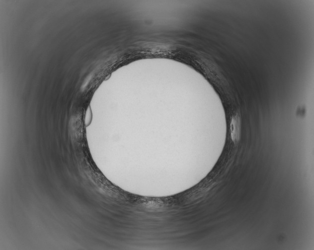 X0000114691395200912021034