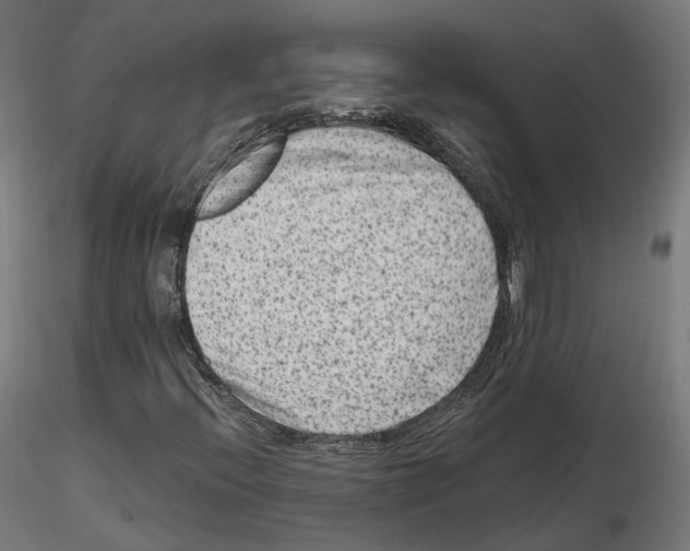 X0000114691396200912021034