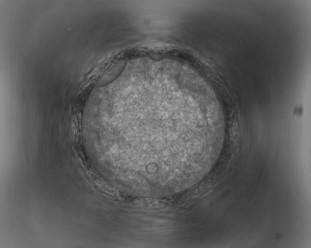 X0000114691397200912021034