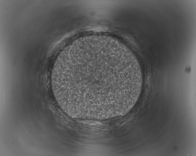 X0000114691398200912021034