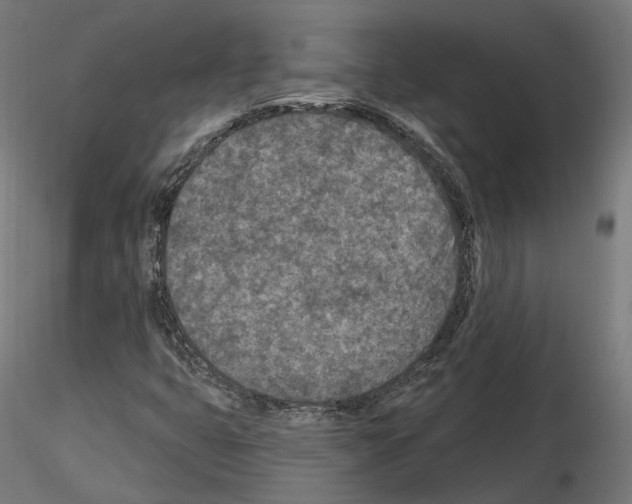 X0000114691399200912021034