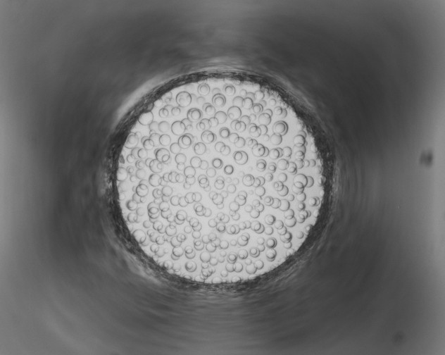 X0000114691400200912021034