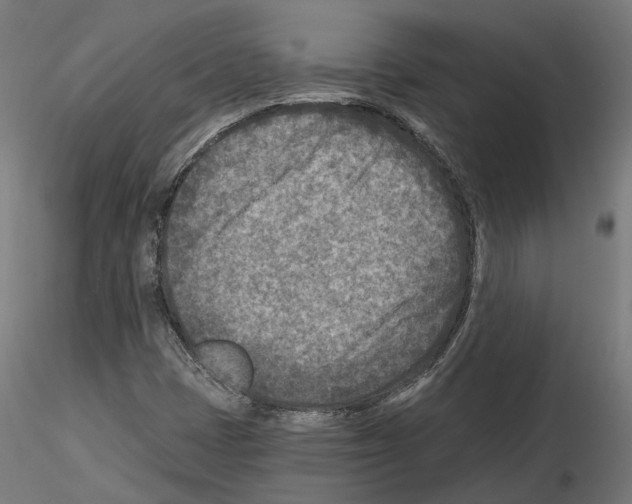 X0000114691401200912021034