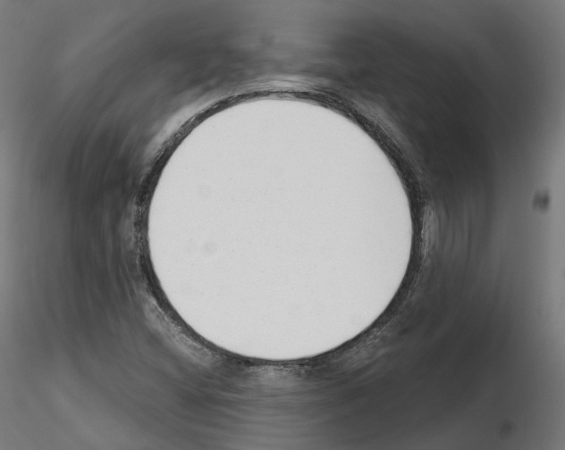 X0000114691404200912021034