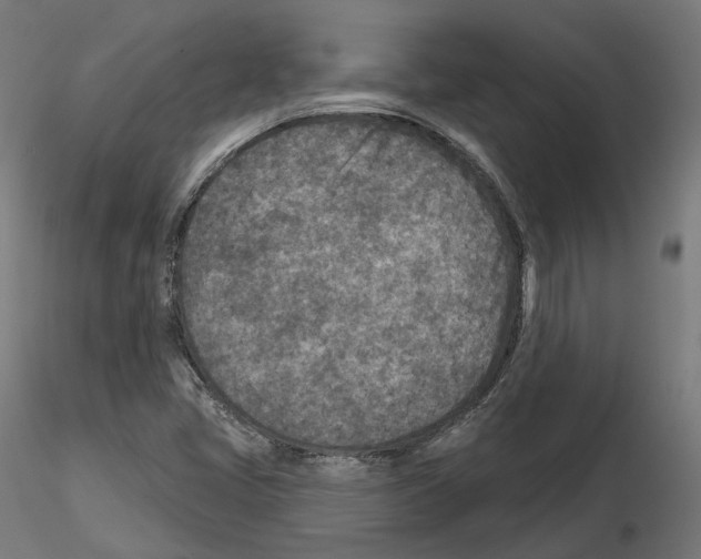 X0000114691405200912021034