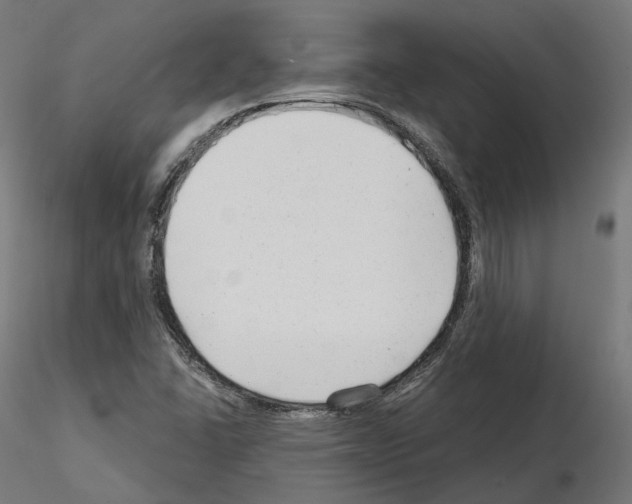 X0000114691406200912021034