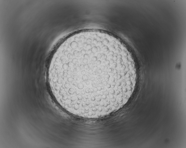 X0000114691408200912021034
