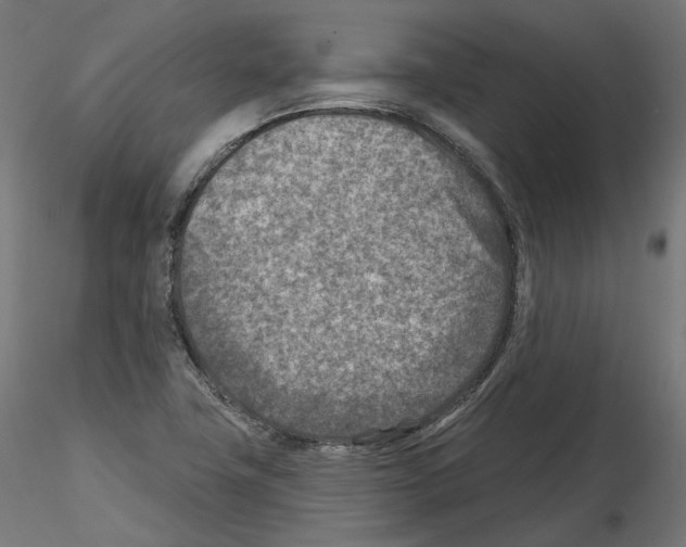 X0000114691411200912021034