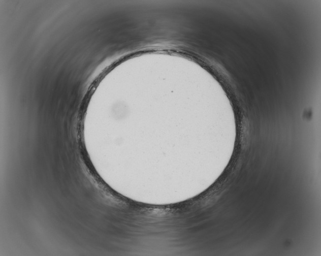 X0000114691412200912021034