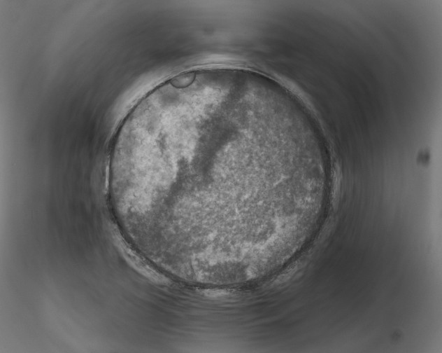 X0000114691413200912021034