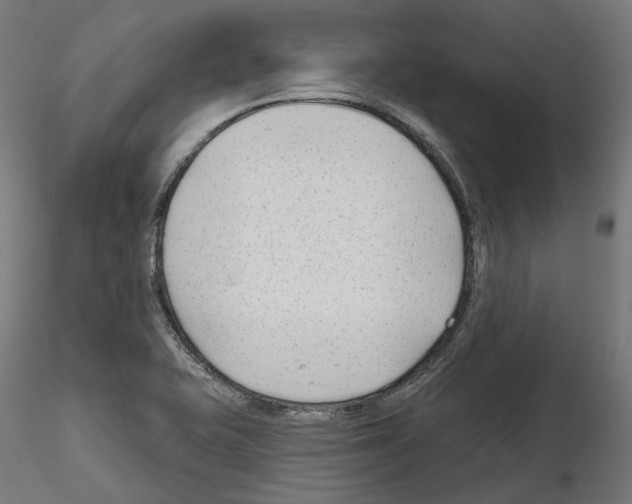 X0000114691415200912021034