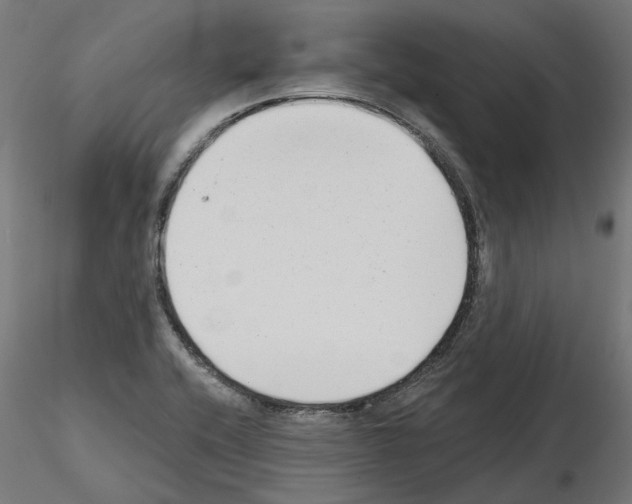 X0000114691416200912021034