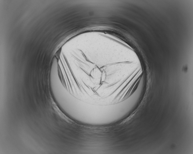 X0000114691417200912021034