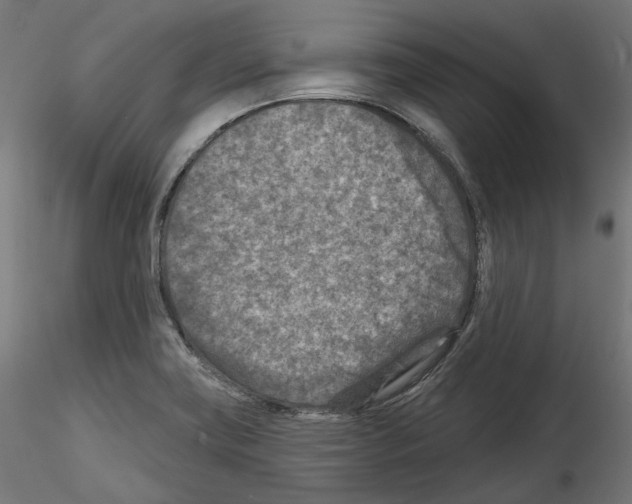 X0000114691419200912021034