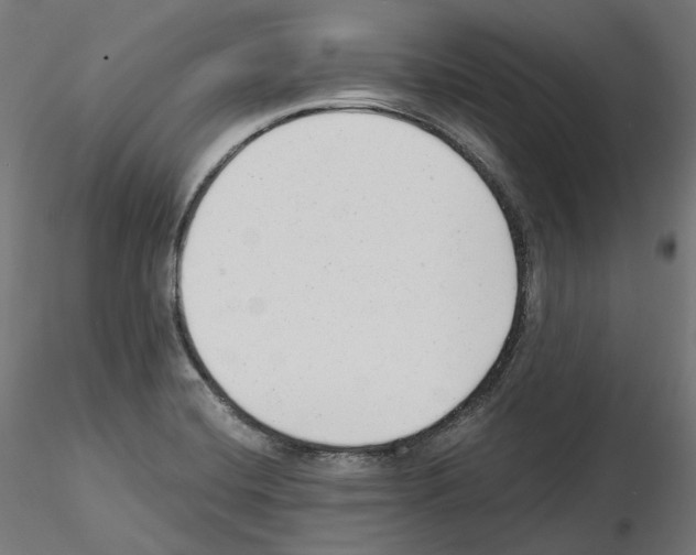 X0000114691420200912021034
