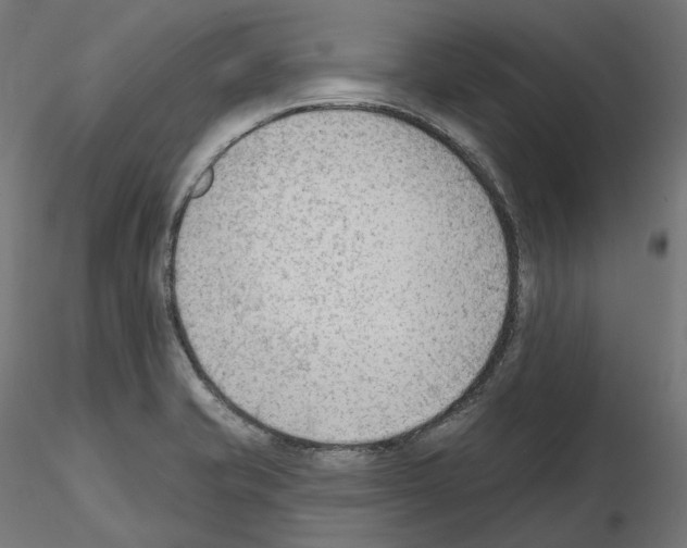 X0000114691421200912021034