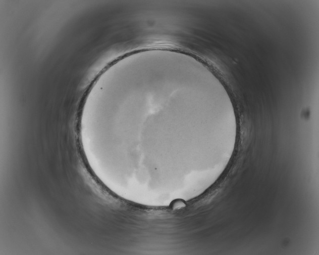X0000114691422200912021034