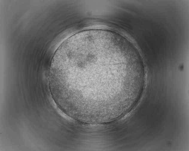 X0000114691425200912021034