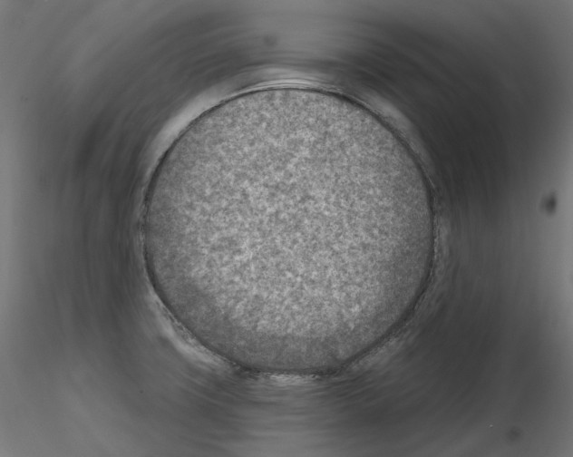 X0000114691427200912021034