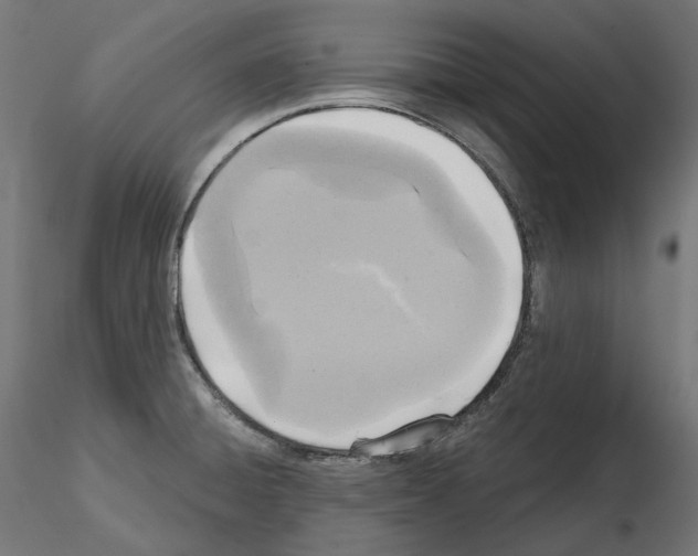 X0000114691428200912021034