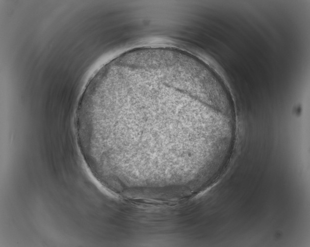 X0000114691429200912021034