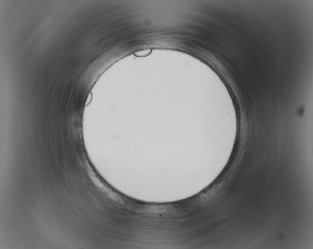 X0000114691433200912021034