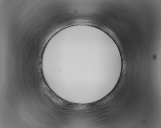 X0000114691435200912021034