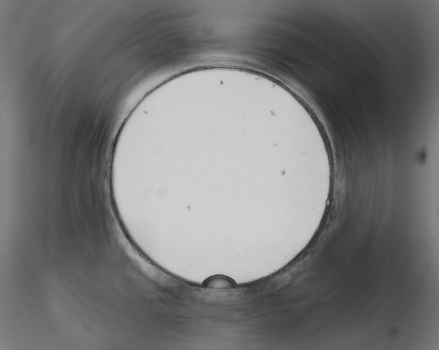 X0000114691437200912021034