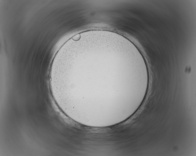 X0000114691440200912021034