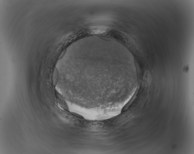 X0000114691441200912021034