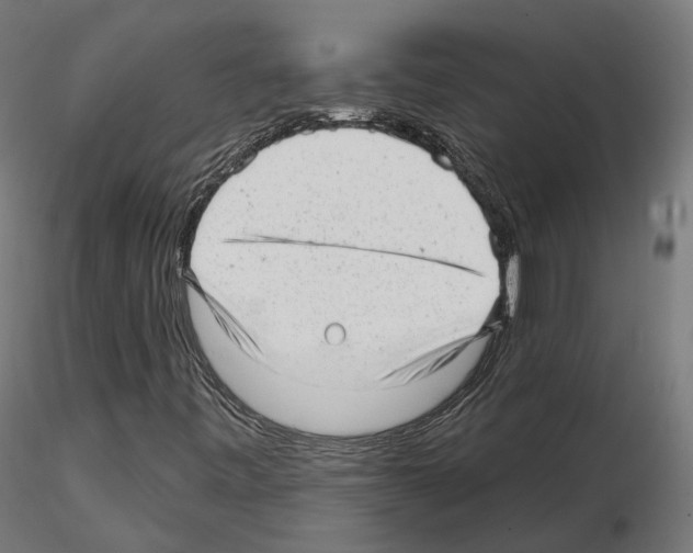 X0000114691443200912021034