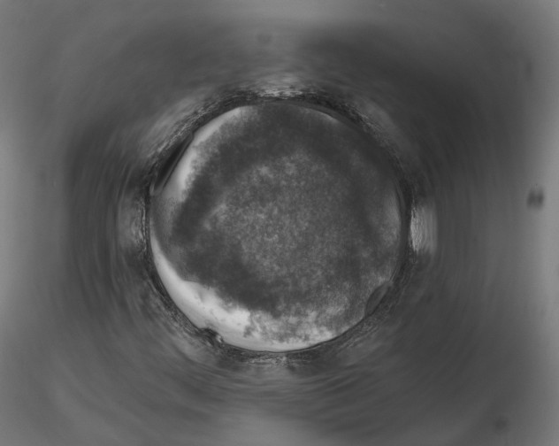 X0000114691444200912021034