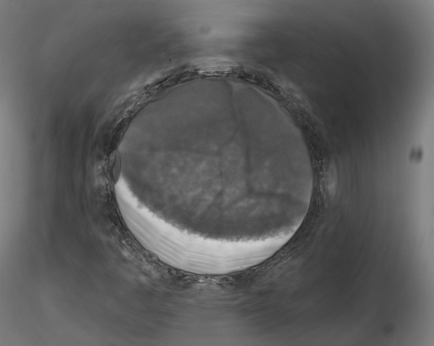 X0000114691445200912021034