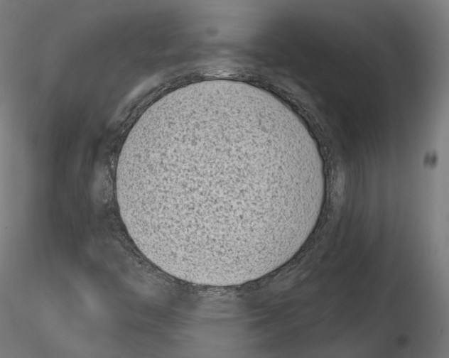 X0000114691446200912021034