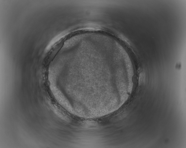 X0000114691448200912021034