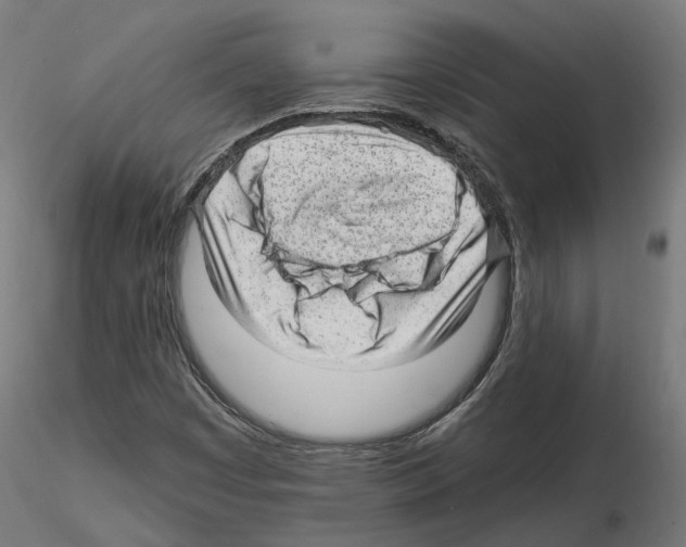 X0000114691449200912021034