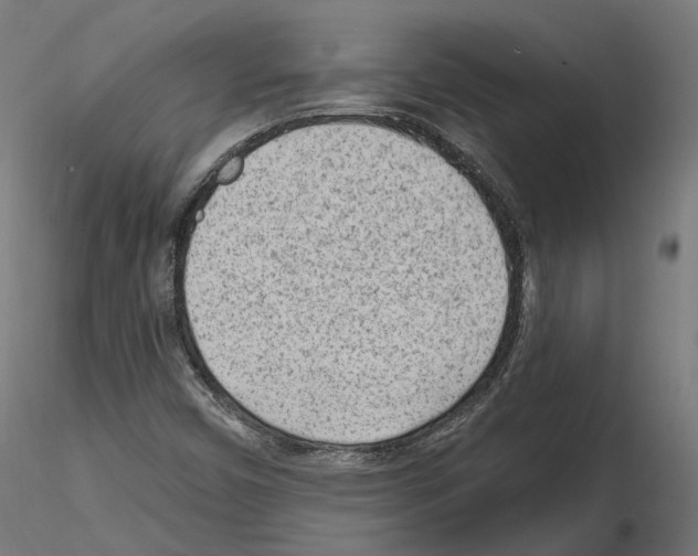 X0000114691450200912021034